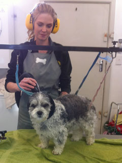 Jade demonstrating a happy hoodie with Pepper. Jade demonstrating a happy hoodie with Pepper.