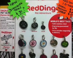 Red Dingo pet accessories